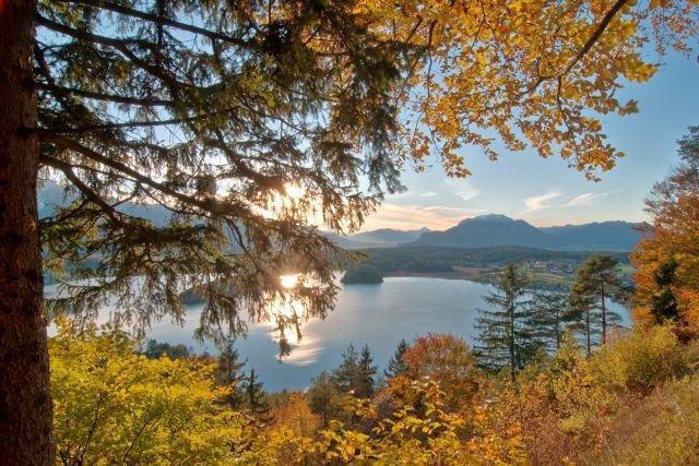 팍암시 Haus Am Wald 아파트 외부 사진