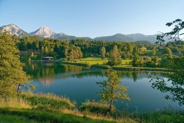 팍암시 Haus Am Wald 아파트 외부 사진